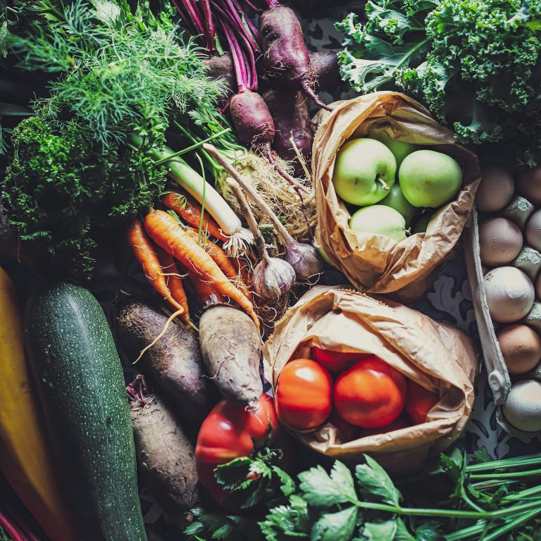 Verschiedenes Gemüse (Zucchini, Karotten, Kartoffel, Tomate, Lauch, Rote Beete) und Äpfel